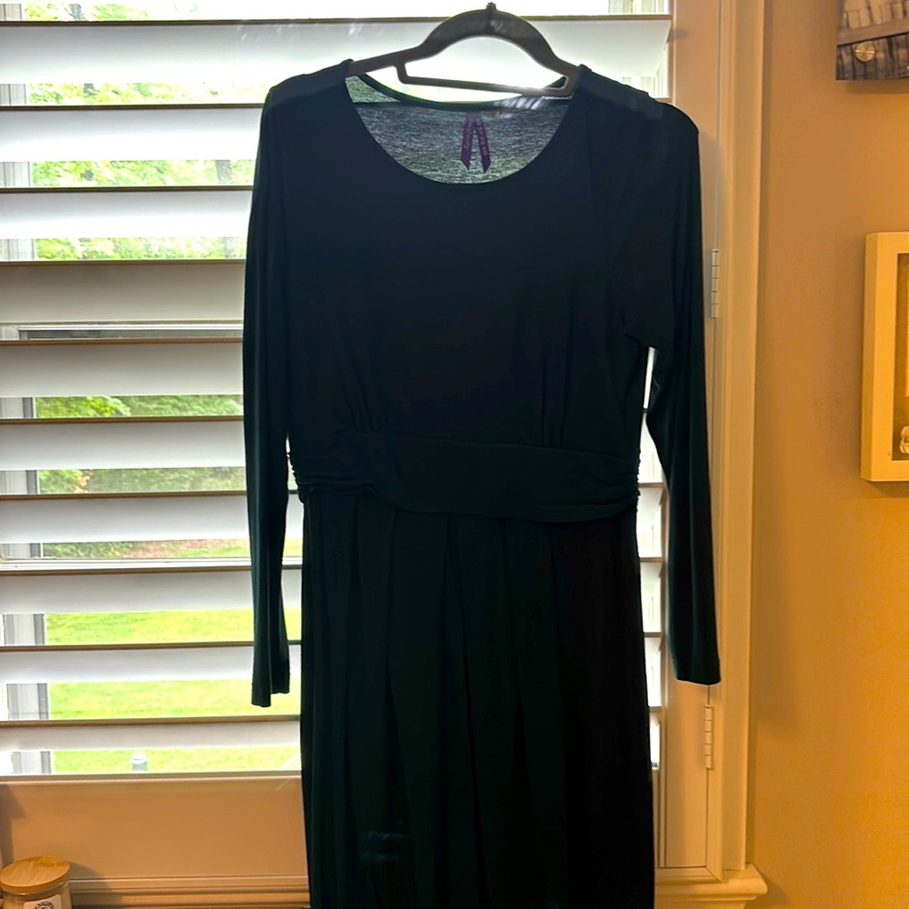 Seraphine Peachey Maternity & Nursing Long Sleeve Dress Size 6 Emerald Green